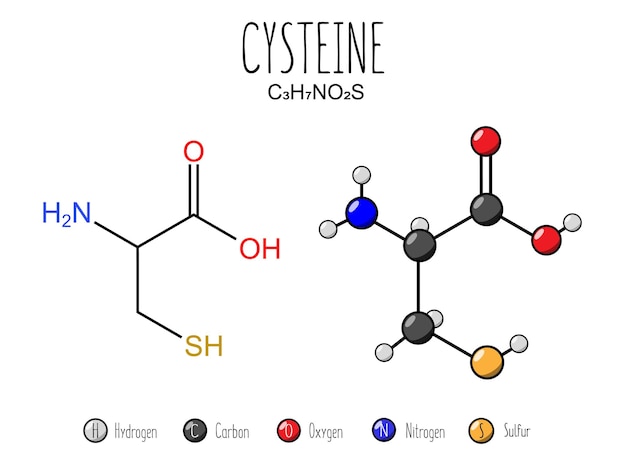 Cysteine amino acid representation