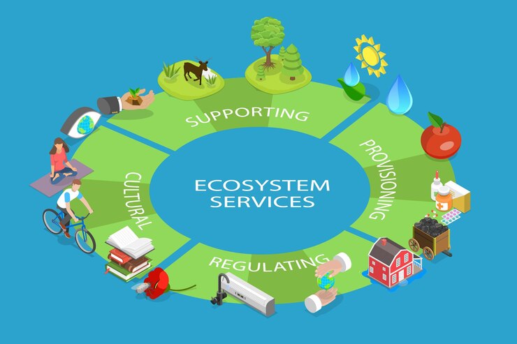 Vector d isometric flat vector conceptual illustration of ecosystem services environmental awareness