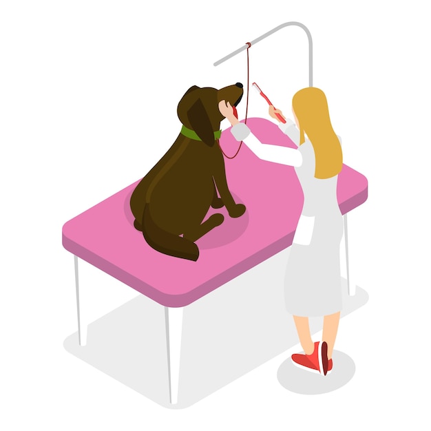 D isometric flat vector illustration of pet grooming professional pet barber services item