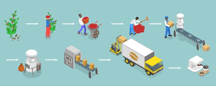 Vector d isometric flat vector illustration of stages of coffee production equipment workers tools and