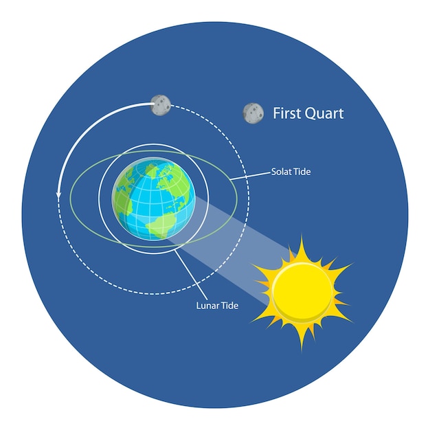 Vector d isometrische vlakke vectorillustratie van maan- en zonne-getijden astronomie en geografie wetenschap item