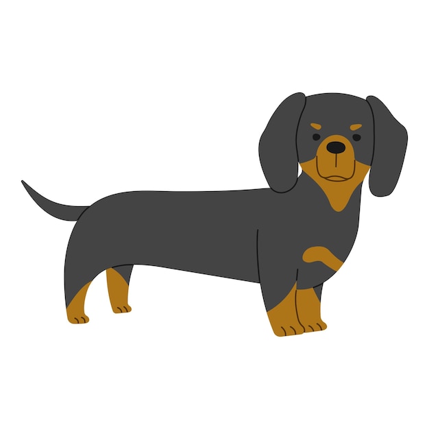 Vector dachshund 1