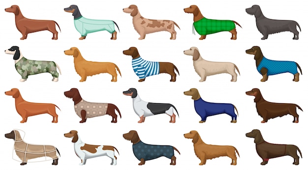 Dachshund  cartoon set icon.  illustration dog on white background.  cartoon set icon dachshund.