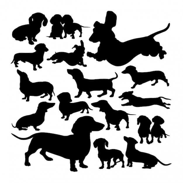 Dachshund dog animal silhouettes