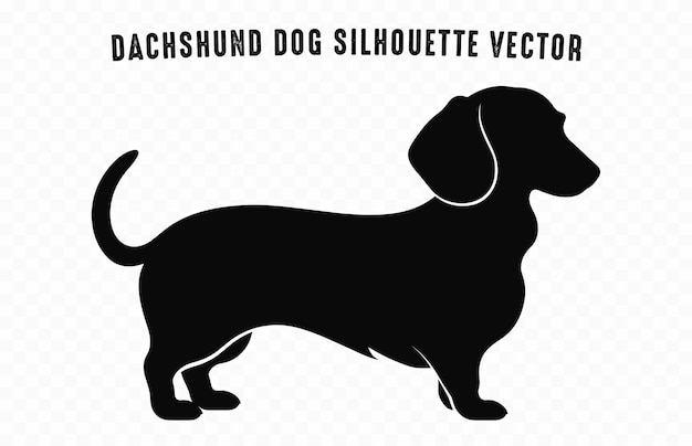 A Dachshund Dog black Silhouette vector isolated on a white background