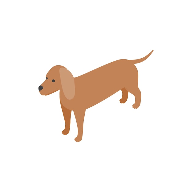 Vettore icona del cane bassotto in stile isometrico 3d isolato su sfondo bianco simbolo degli animali