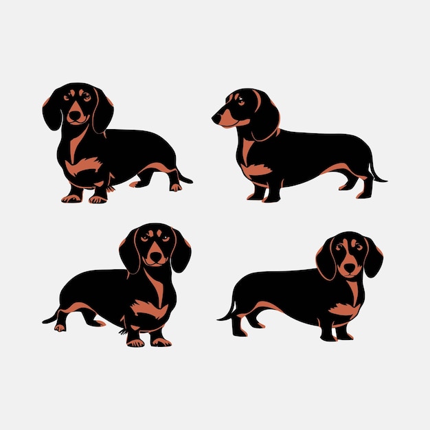 Dachshund dog silhouette set animals vector template illustration
