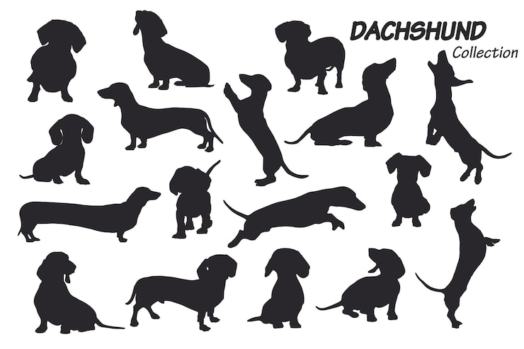 Dachshund dog silhouettes