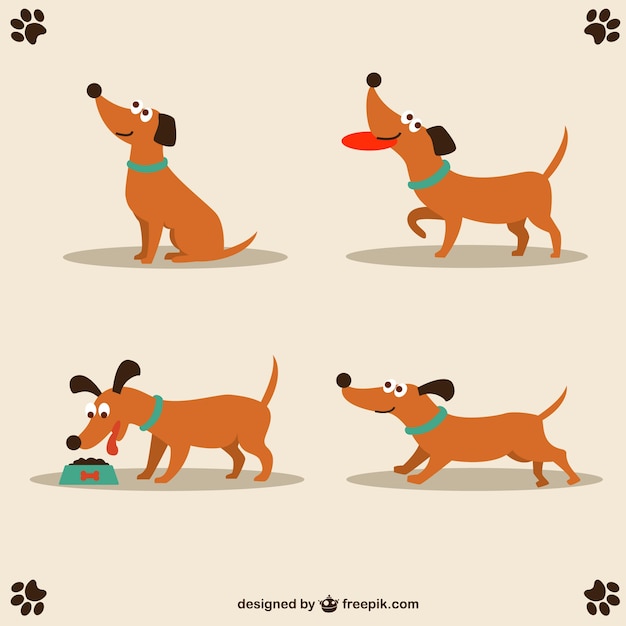 Vector dachshund eating and playing