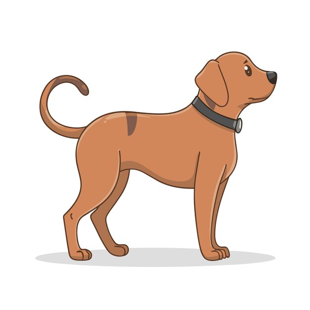 Vettore cucciolo di tacchino su sfondo bianco _ illustrazione di cane di tacchino _ cartone animato di cane _ ritratto di cane
