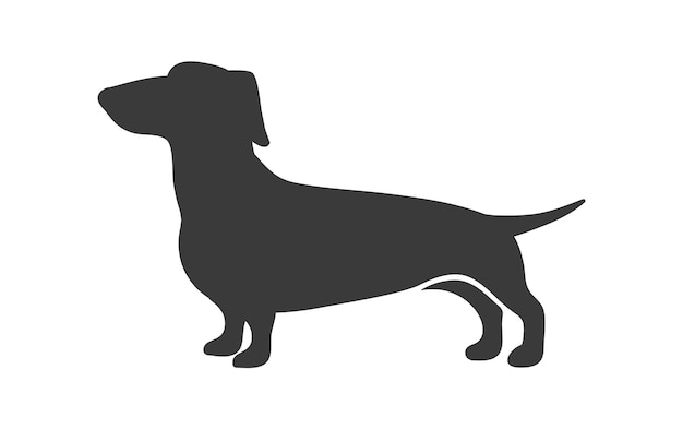 Dachshund silhouette. Sausage hunting dog breed, dachschund long size, teckel canine companion, vector icon isolated on white background