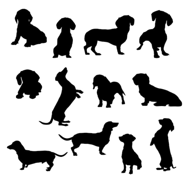 Dachshund Silhouette vector silhouettes Illustration Eps10