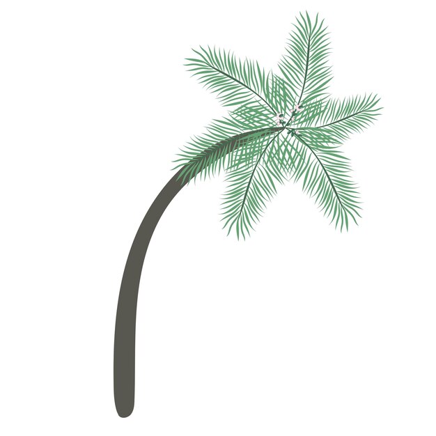 Dadelpalm geïsoleerd op witte achtergrond Mooie eenvoudige vector palmboom