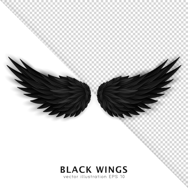 Daemon's realistic wings. Three dimensional Halloween monster or bird wings. Black devil wings