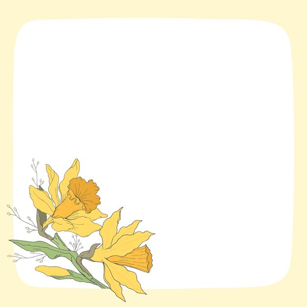 Vector daffodil floral template narcissus