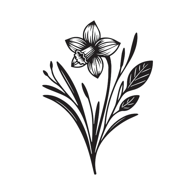 Daffodil flower silhouette vector illustration