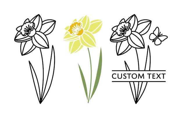 Vector daffodil outline silhouette split name frame march birth month flower