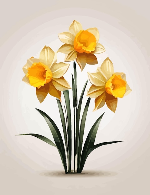 Vector daffodils isolated