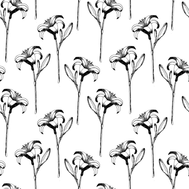 Daglelie vector naadloze patroon Hand getekende bloemen van dag lily op witte achtergrond ontwerp voor bruiloft decor wallpapers gordijnen textiel inpakpapier Retro patroon