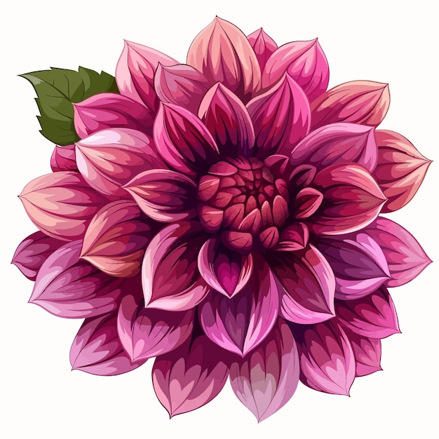 Vector dahlia bloem