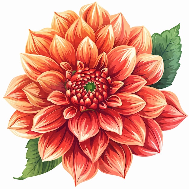 Dahlia bloem