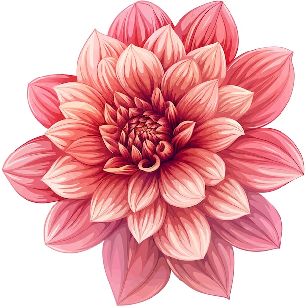 Vector dahlia bloem