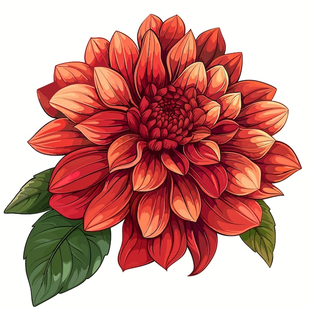 Vector dahlia bloem