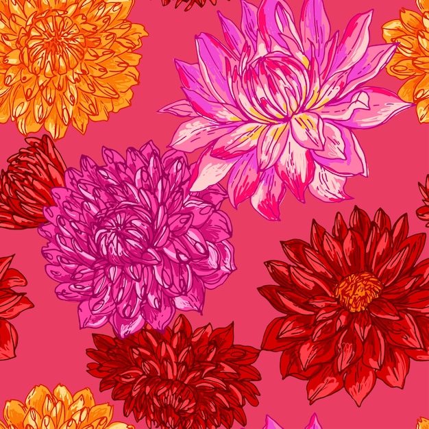 Dahlia Bloemen lijn getrokken op een witte achtergrond Vector schets van bloemen