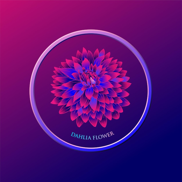 Vector dahlia flower illustration