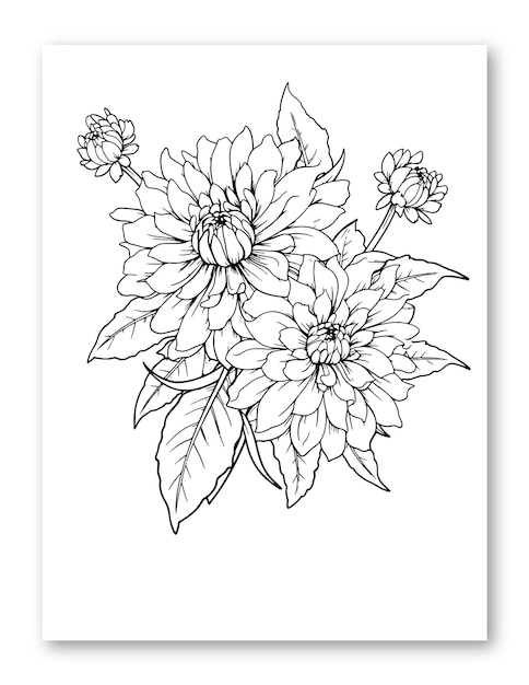 Vector dahlia flower line art drawing illustration for coloring page