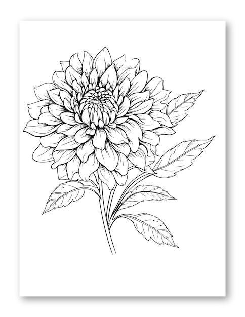 ベクトル ページを着色するためのダリアの花のライン アート描画イラスト