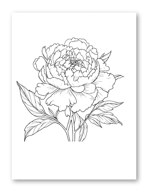 Vector dahlia flower line art illustration for coloring page