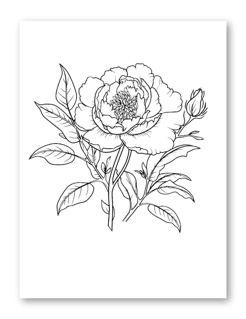 Vector dahlia flower line art illustration for coloring page