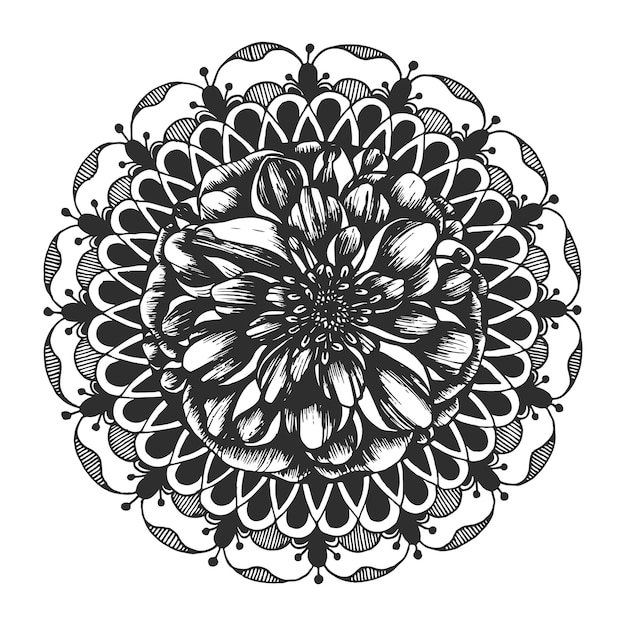 Dahlia flower mandala Round floral pattern Hand drawn vector line art illustration Vintage graphics