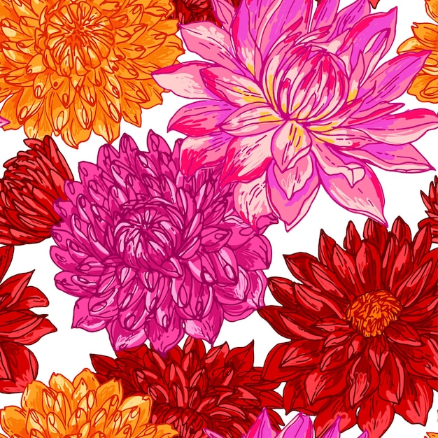 Vector dahlia flowers line drawn on a white background vector sketch of flowers