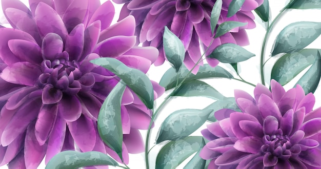 Dahlia purple flowers banner watercolor