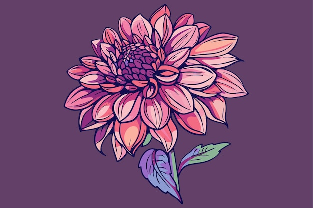 Dahlia