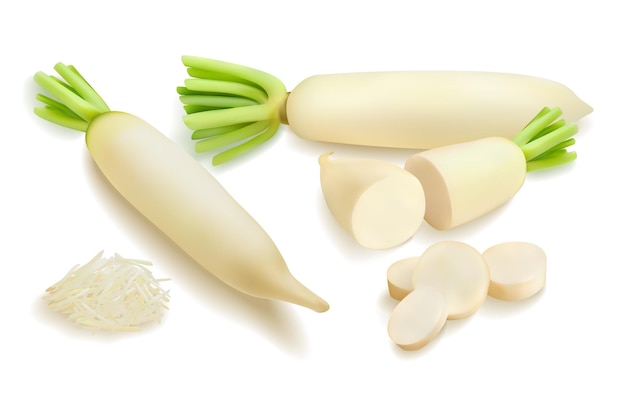 Daikon radijs realistische 3d grote vector set. Gesneden stukjes chinese radijs, geraspte daikon-stukjes