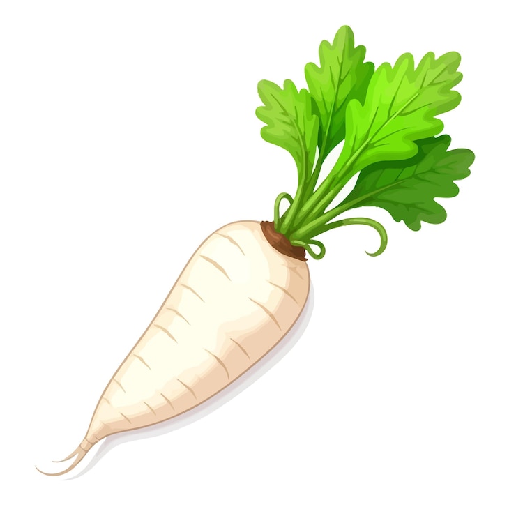 Vector daikon radish clipart cartoon style vector illustration