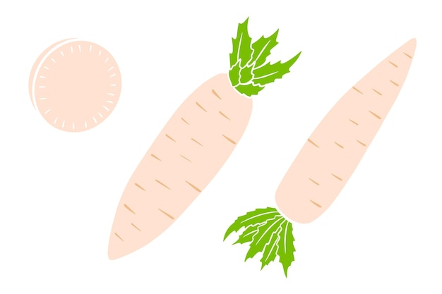 Vettore set daikon daikon fresco e spicchi affettati in stile cartone animato illustrazione vettoriale per il design e la decorazione