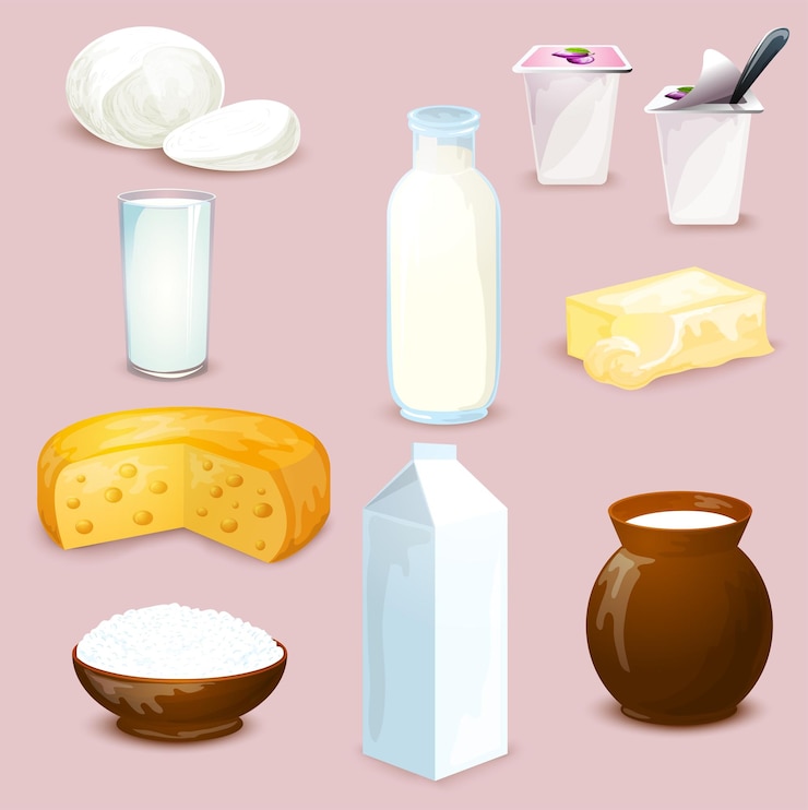 Vector dairy farm fresh products set vector cartoon healthy food illustration milk bottle cottage cheese