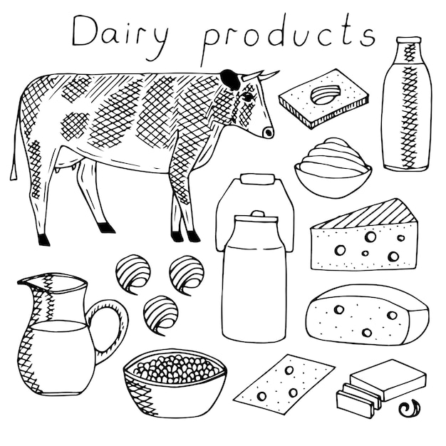 Vector dairy products and cow set vector illustration, hand drawing sketch