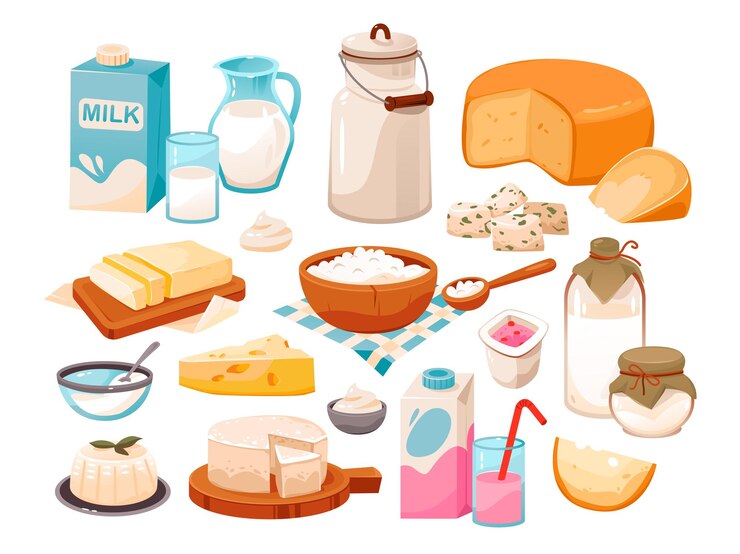 Vector dairy products set organic homemade food cartoon vector illustration