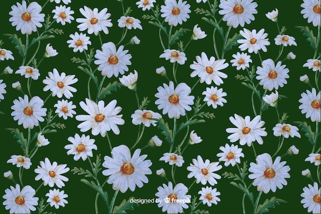 Vector daisies decorative background watercolor design
