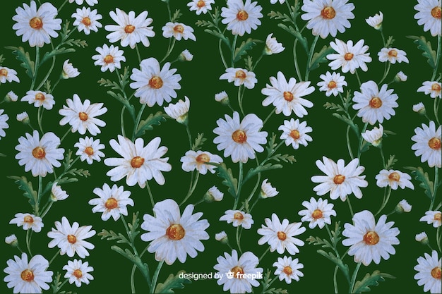 Daisies decorative background watercolor design