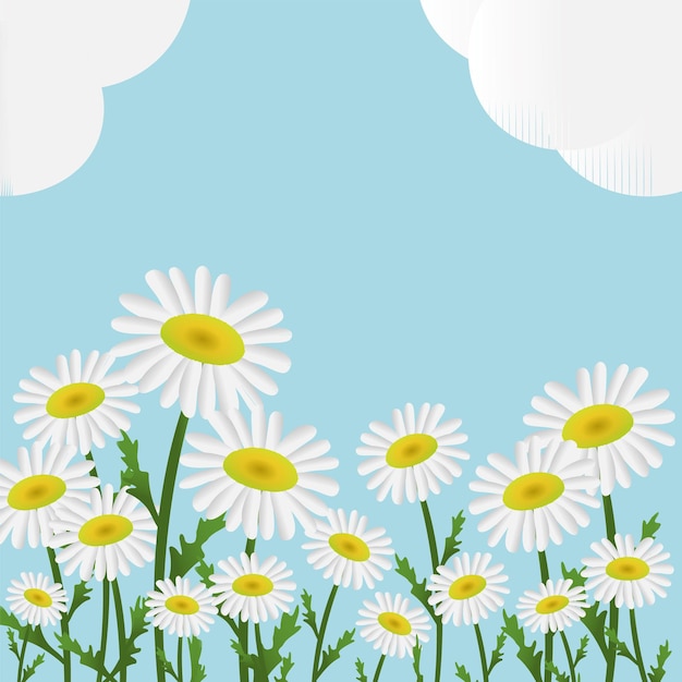 Daisies field landscape green Summer scene with white flowers blue sky fluffy clouds