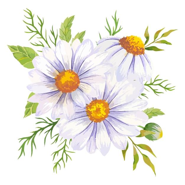 Vector daisy aquarel illustratie kamille boeket