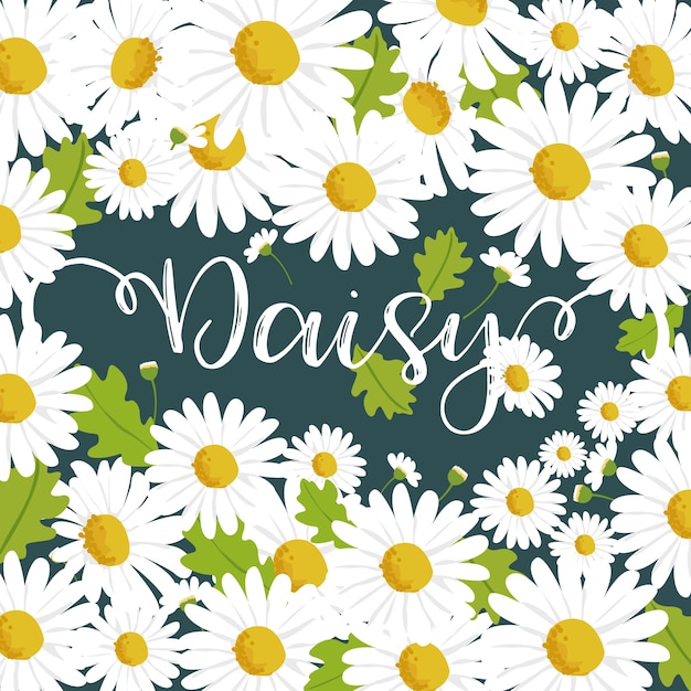 daisy background