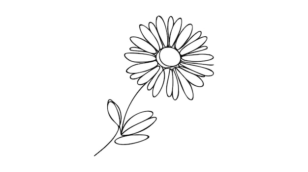 Daisy bloem in doorlopende lijn kunst tekenstijl Kamille Een lijn tekening kunst Minimalistische zwarte lineaire schets