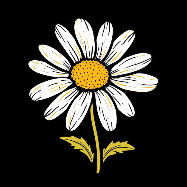 Daisy bloem vector lijntekeningen in gele en witte kleuren Zwarte achtergrond